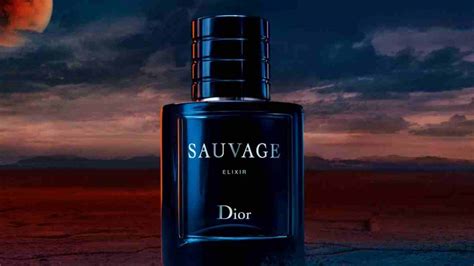 sauvage dior bargello kodu|dior sauvage cologne.